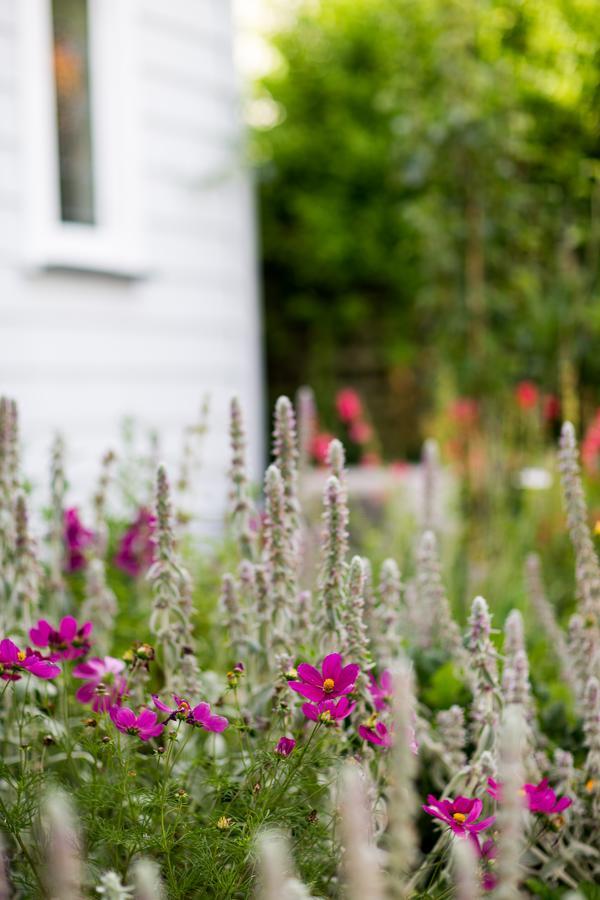 Coghill Cottage Whitianga Dış mekan fotoğraf